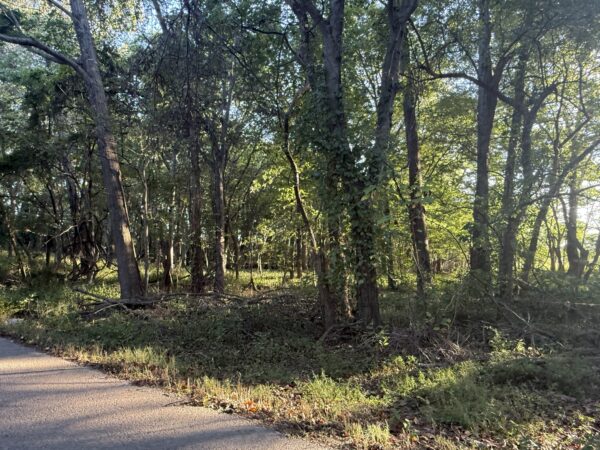 64 +/- ACRES