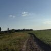 64 +/- ACRES
