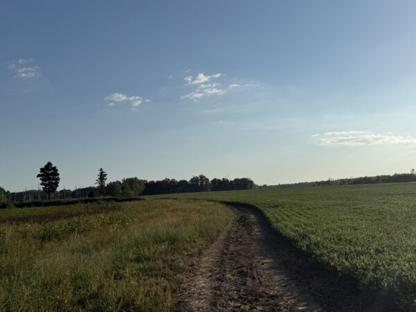 64 +/- ACRES