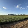 64 +/- ACRES