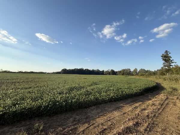 64 +/- ACRES