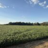 64 +/- ACRES