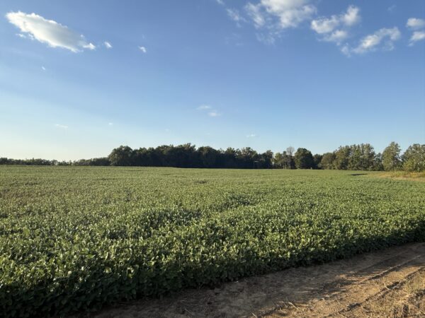 64 +/- ACRES