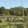 64 +/- ACRES