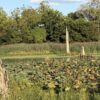 64 +/- ACRES