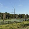 64 +/- ACRES