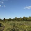 64 +/- ACRES