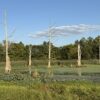 64 +/- ACRES