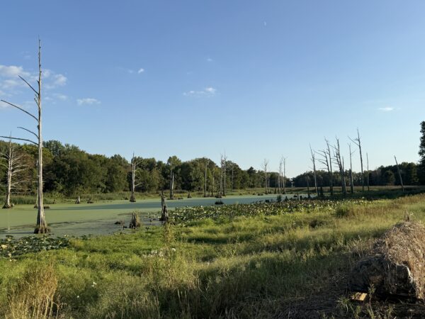 64 +/- ACRES