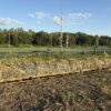 64 +/- ACRES