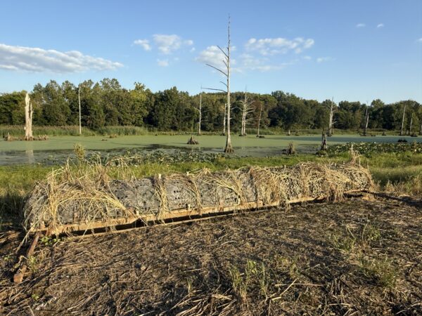 64 +/- ACRES