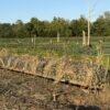 64 +/- ACRES