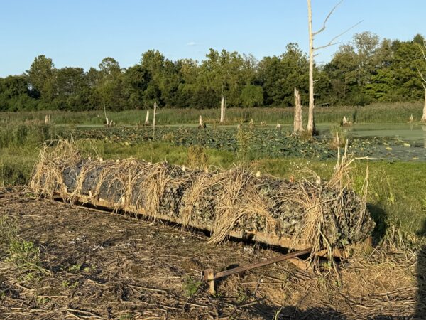 64 +/- ACRES