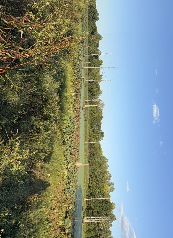 64 +/- ACRES