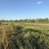 64 +/- ACRES
