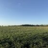 64 +/- ACRES
