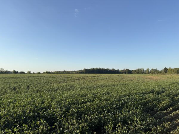 64 +/- ACRES