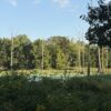 64 +/- ACRES