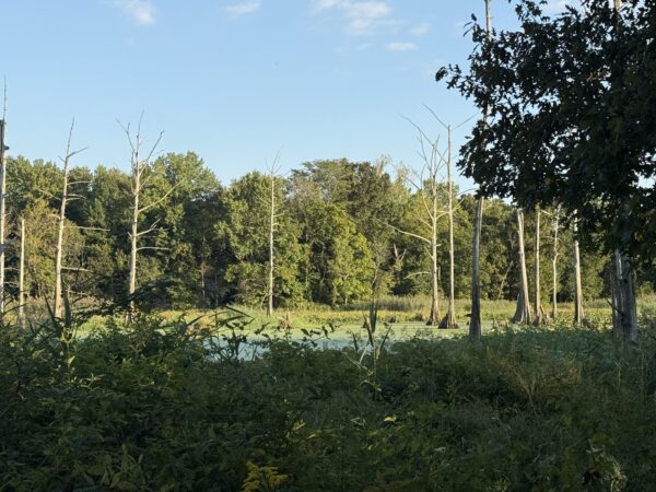64 +/- ACRES