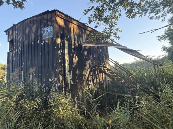 64 +/- ACRES