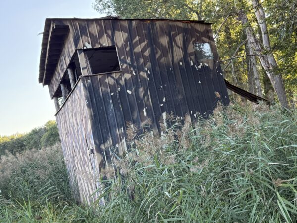 64 +/- ACRES