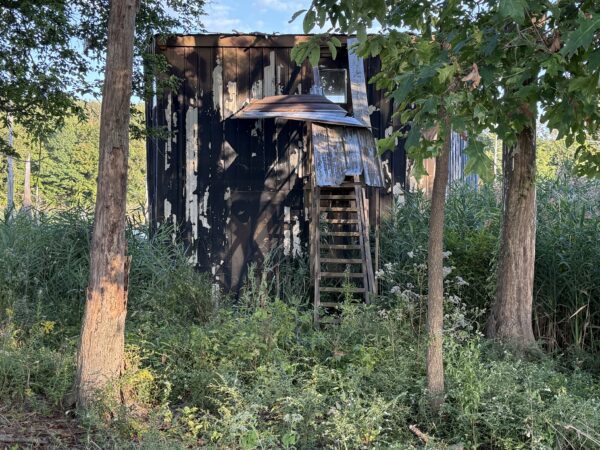 64 +/- ACRES