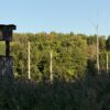 64 +/- ACRES