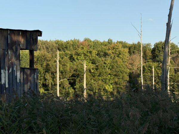 64 +/- ACRES