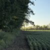 64 +/- ACRES