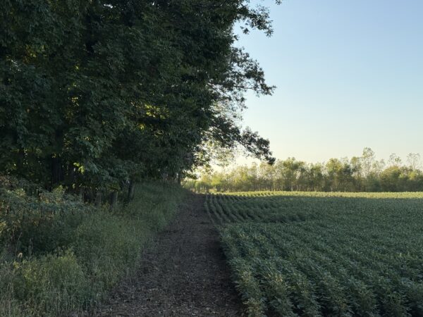 64 +/- ACRES