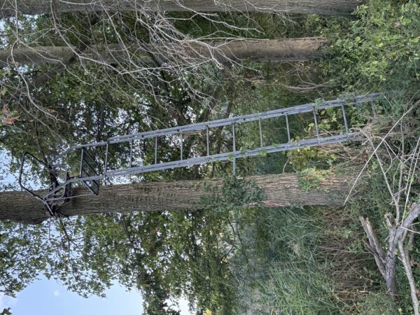 64 +/- ACRES