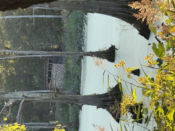 64 +/- ACRES