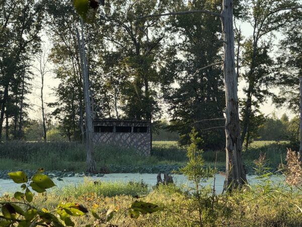 64 +/- ACRES