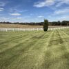 LIVE AUCTION - BRICK HOME, SHOP ON 1.7 ACRE LOT - HOUSEHOLD FURNISHINGS & MORE