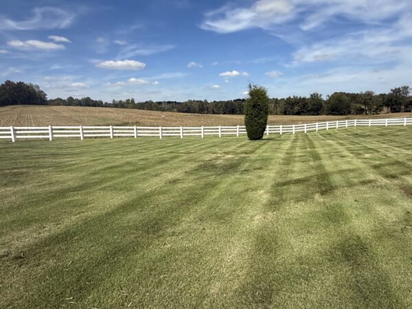 LIVE AUCTION - BRICK HOME, SHOP ON 1.7 ACRE LOT - HOUSEHOLD FURNISHINGS & MORE