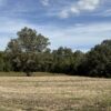 BEAUTIFUL HOME, SHOP & 48+/- ACRES