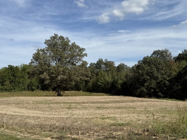 BEAUTIFUL HOME, SHOP & 48+/- ACRES