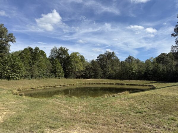 BEAUTIFUL HOME, SHOP & 48+/- ACRES