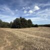 BEAUTIFUL HOME, SHOP & 48+/- ACRES