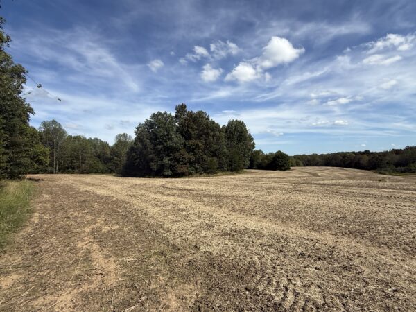 BEAUTIFUL HOME, SHOP & 48+/- ACRES