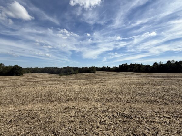 BEAUTIFUL HOME, SHOP & 48+/- ACRES