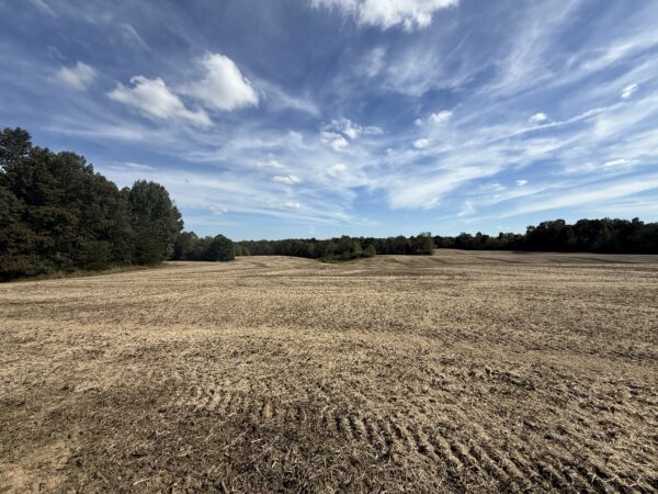 BEAUTIFUL HOME, SHOP & 48+/- ACRES