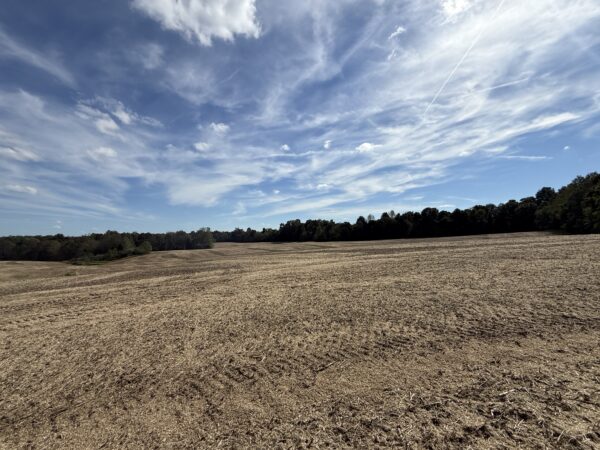 BEAUTIFUL HOME, SHOP & 48+/- ACRES