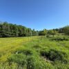 20.42 ACRES with NICE HOME, BARNS & POLE BARN HOME