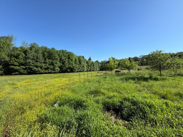 20.42 ACRES with NICE HOME, BARNS & POLE BARN HOME