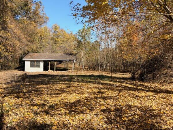 20.42 ACRES with NICE HOME, BARNS & POLE BARN HOME