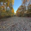 75.75+/- ACRES of HUNTING and TIMBER LAND