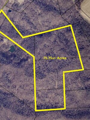 baxter pleasant hill jpeg 75.75+/- ACRES of HUNTING and TIMBER LAND