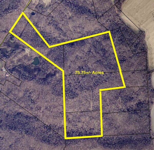 75.75+/- ACRES of HUNTING and TIMBER LAND