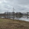IMG_1287 21.17+/- ACRES IN TWO TRACTS - HOME-POND-BUILDING SITE